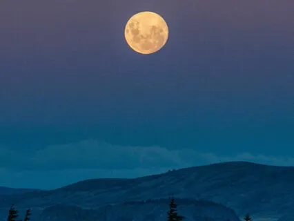 Crystal Lyre Sound Meditation For Sleep