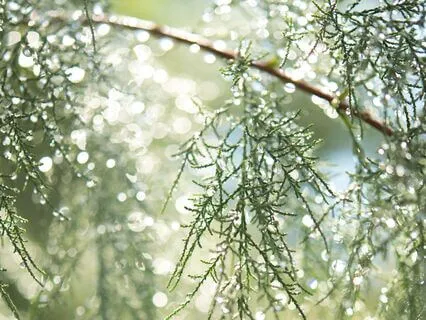 Crystal Rain Energy Clearing