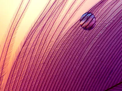 Crystal Singing Bowls | Delta Brainwave System | Removes Negative Blocks