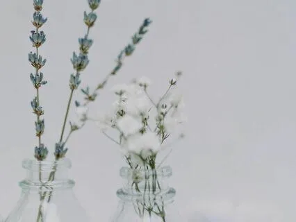 Crystal Singing Bowls For Calming Anxiety