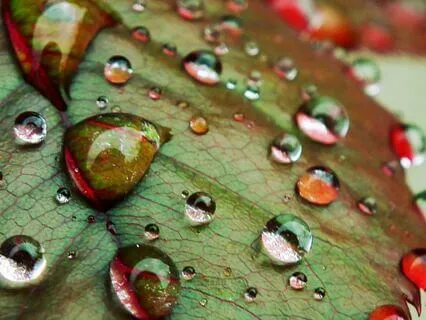 Crystal Singing Bowls With Rain Sounds (Long Version)