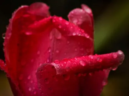 Crystal Singing Bowls With Rain Sounds (Short Version)