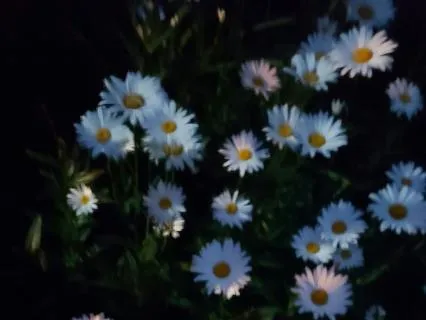 Crystal Singing Bowls