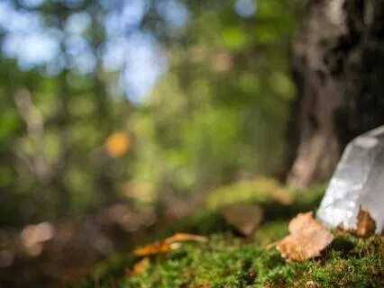 Crystalide Zaphir Chime (Short Version)