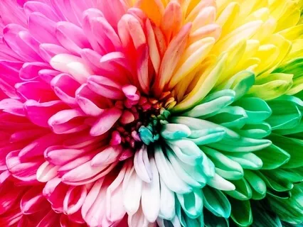 Crystalline Chakra Healing Meditation