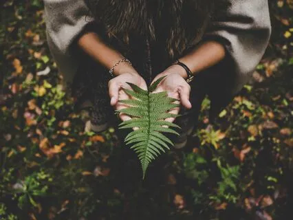 Cuidar da respiração com presença de Amor | Dia 5