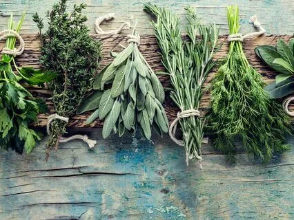 Culinary Calm: A Pre-Cooking Meditation