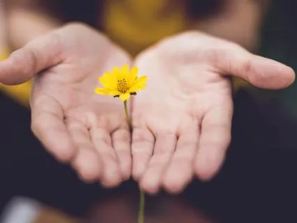 Cultivar afecte i benestar intern