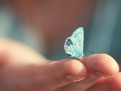 Cultivate Confidence, Creativity & Inspiration