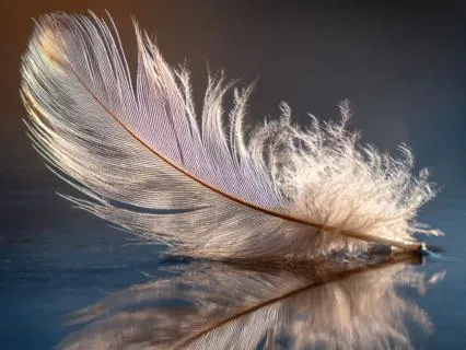 Cultivate A Mindset Of Abundance