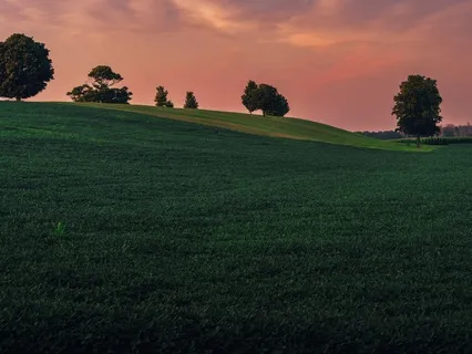 Cultivate A Positive Day