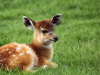 Cultivate Compassion: Open Your Heart Today