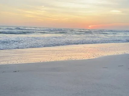 Cultivate Compassion 