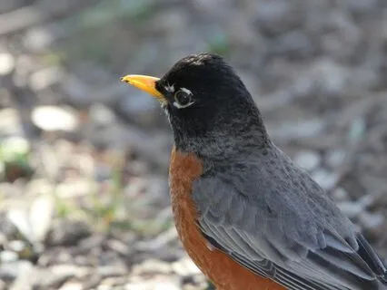 Cultivate Faith In Yourself: A Daily Grounding Ritual