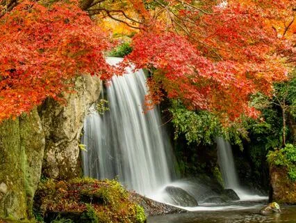 Cultivate Happiness: Positive Energy & Achievements