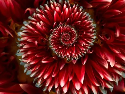 Cultivate Inner Alignment + Boost Confidence