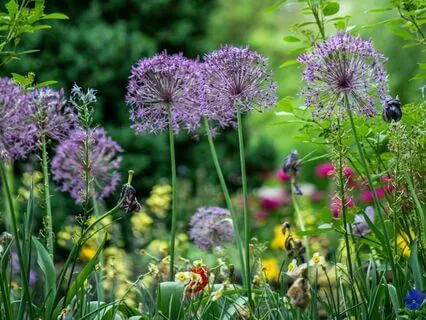 Cultivate Inner Peace And Balance