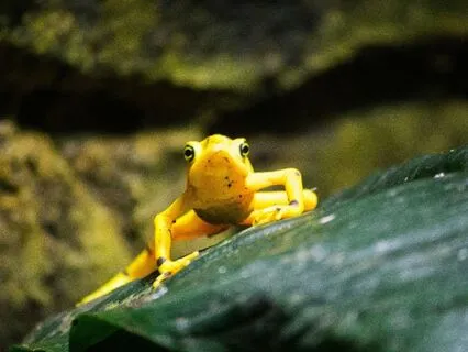 Cultivate Mindfulness In Challenging Situations