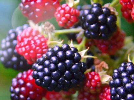 Cultivate Patience To Find Calm In The Waiting | 16 Hz