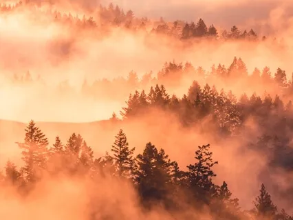 Cultivate Self-Love Through Your Heartbeat