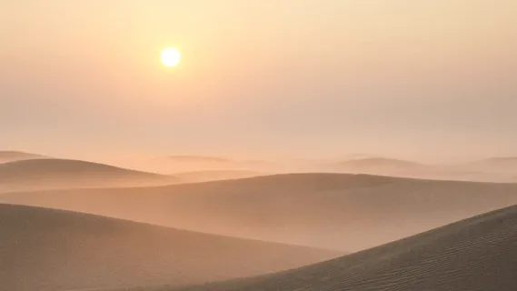 Cultivate Space & Befriend Curiosity  - 20 Min Daily Insight