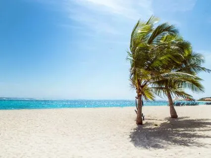 Cultivate The Present Moment Now