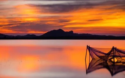 Cultivate Your Creativity 