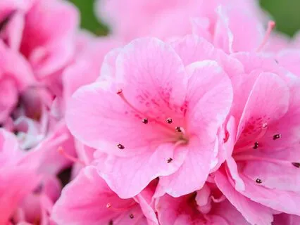 Cultivate Your Inner Sanctuary | Yoga Nidra