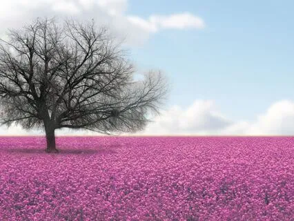 Cultivating A Boundaries Mindset For Greater Well-being