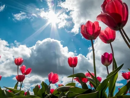 Cultivating a Compassionate Image