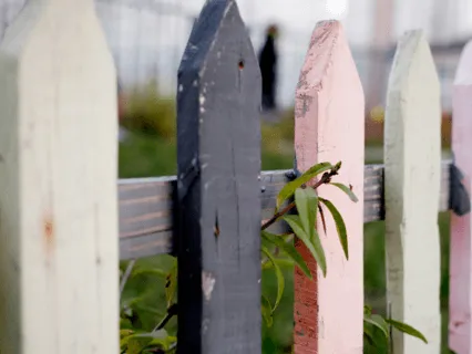 Cultivating A Healthy Boundary