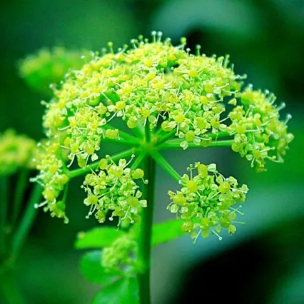 Cultivating A Healthy Relationship With Money