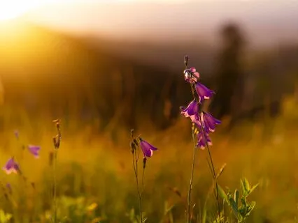 Cultivating A Mindful Relationship To Money (Part 1)