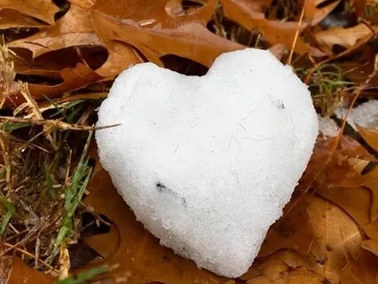 Cultivating An Open Heart