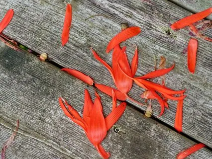 Cultivating A Ritual Of Awareness