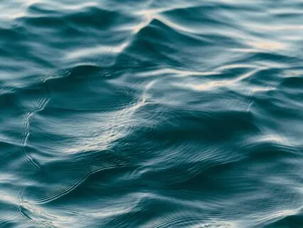 Beginners Meditation For Calm (20 Mins)