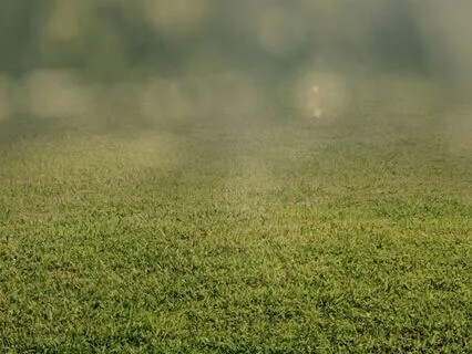 Cultivating A Sense Of Space: A Meditation Mindfulness