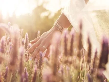 Cultivating Abundance Through Gratitude