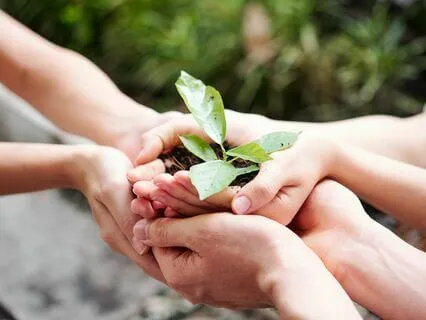 Cultivating Ahimsa: Non-Violent Thoughts, Words, And Actions