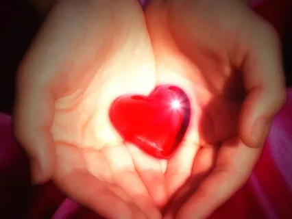 Cultivating an Open Heart