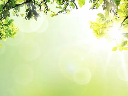 Cultivating An Open Heart