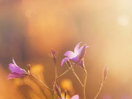 Cultivating appreciation to the little things around us