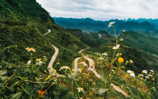 Cultivating Awareness & Compassion Meditation