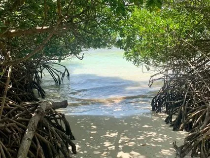 Cultivating Awareness - Awareness Of Thoughts