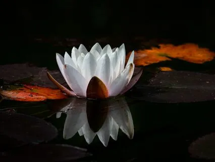 Cultivating Awareness Of The Present Moment (Deep Ambient)