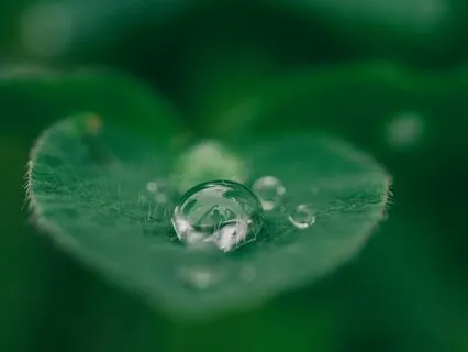 Cultivating Balance & Groundedness