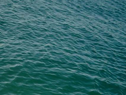 Body Scan Meditation