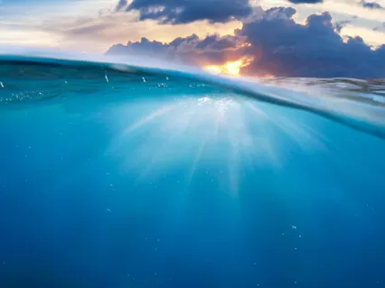 Cultivating Calm Through Disrupted Times