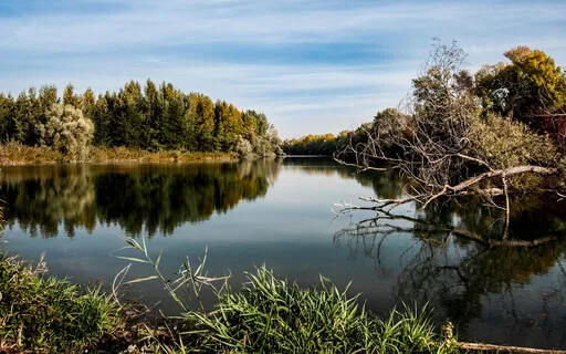 Cultivating Calmness & Clarity