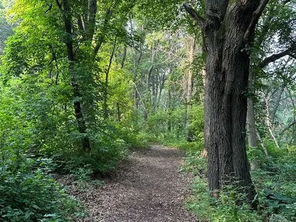 Cultivating Clarity: Reflection And Intention-Setting